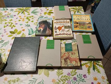  libri sui cavalli 