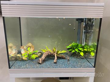 Acquario ASKOLL PURE LED L