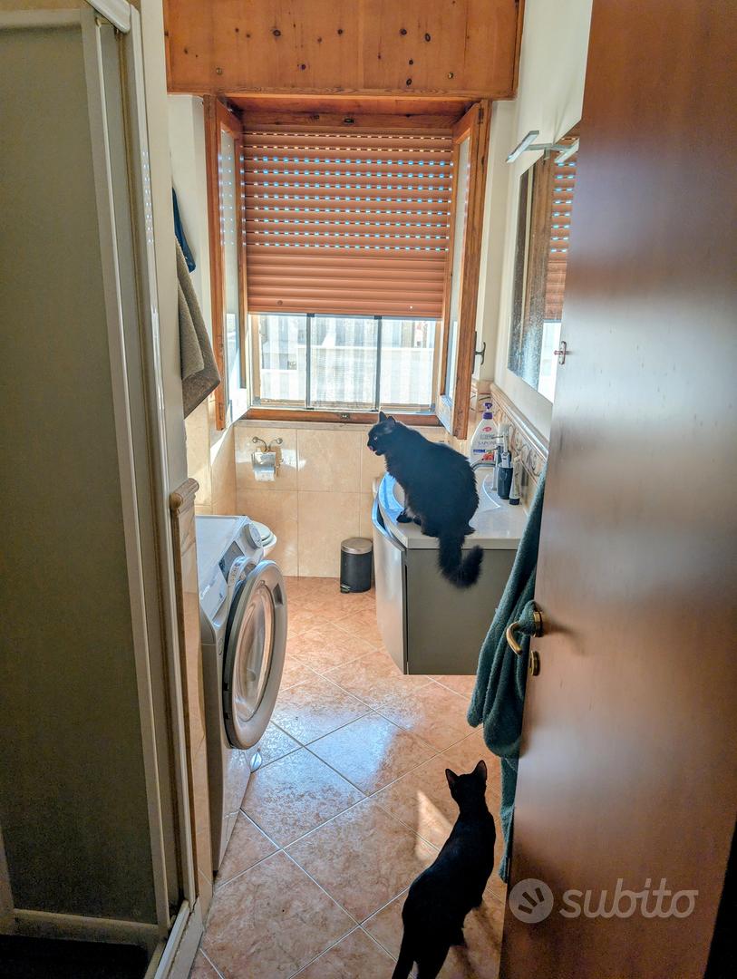 Appartamento – Pulsano, Taranto - Vista 4