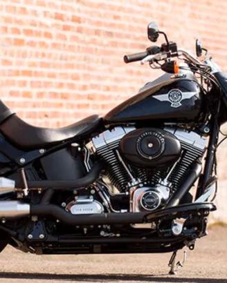 Terminali di Scarico Harley Davidson