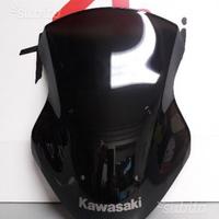 Cupolino originale Kawasaki ER6 N anno 12 in poi