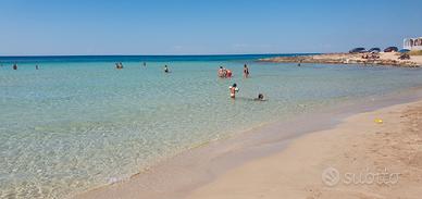 Monolocale 800m dal mare