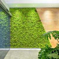 VERDE STABILIZZATO prima scelta