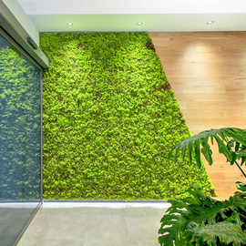 VERDE STABILIZZATO prima scelta