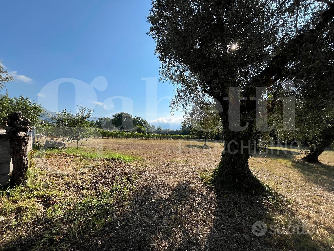 Terreno Agricolo Alife [Cod. rif 3325629VCG] - Vista 4