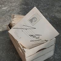 dischi 33 giri della serie  "I Grandi Musicisti"