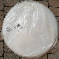 pelle Remo Ambassador dm 20