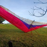 ala deltaplano motore 