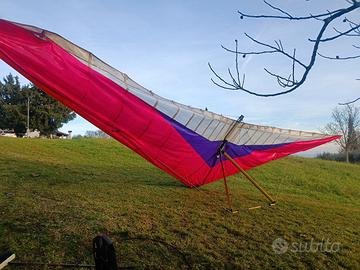 ala deltaplano motore 