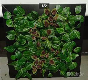 Quadro con piante stabilizzate FATTO A MANO