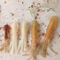 esche gomme e cucchiaini 