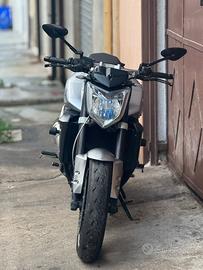 Fz1 1000
