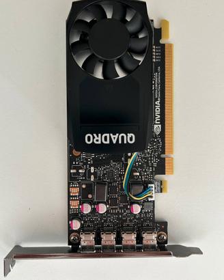 Scheda Grafica PNY Quadro P1000 - 4GB