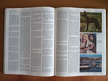 ENCICLOPEDIA DE AGOSTINI 17 VOL.