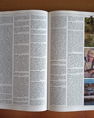 ENCICLOPEDIA DE AGOSTINI 17 VOL.