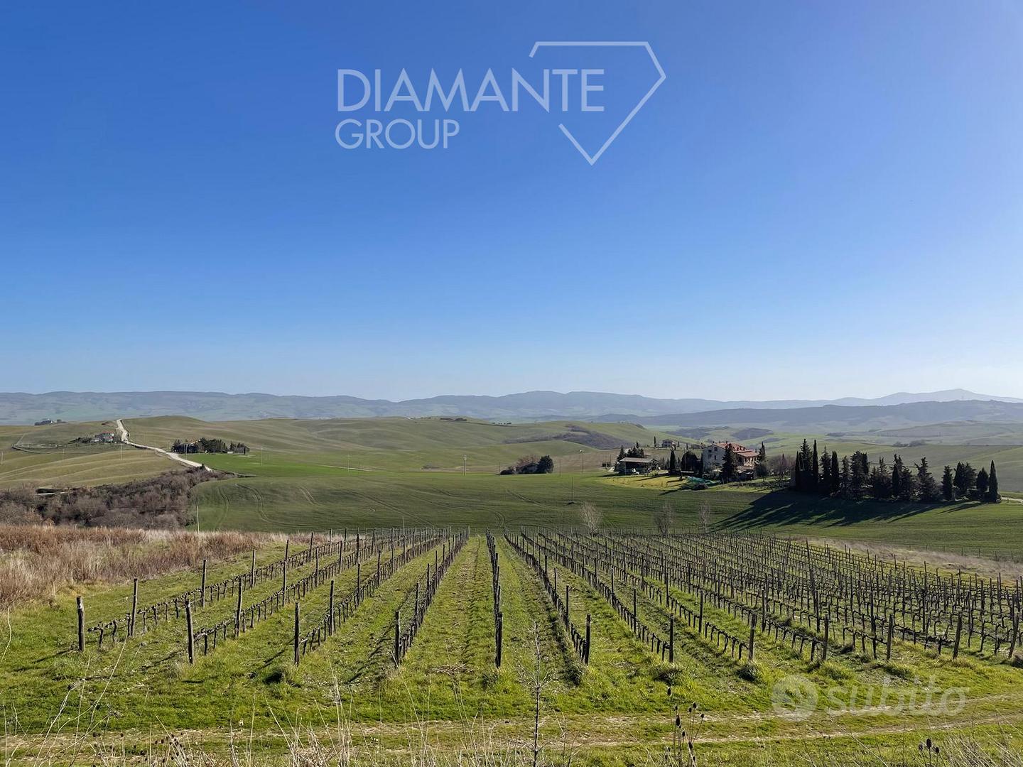 Terreno agricolo di 4 ettari con vigneto Bio Orcia - Vista 3