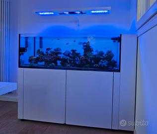 ACQUARIO MARINO EXTRACHIARO 150 X 55 X 50 NUOVO
