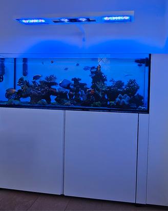 ACQUARIO MARINO EXTRACHIARO 150 X 55 X 50 NUOVO