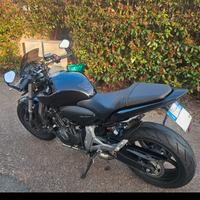 Honda Hornet 600 CB600F 102CV – Perfetta – 30.600 