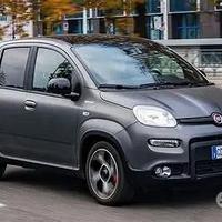Musata e porte fiat panda hybrid