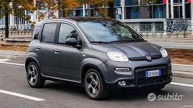 Musata e porte fiat panda hybrid