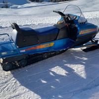 Motoslitta Linx Ranger 500