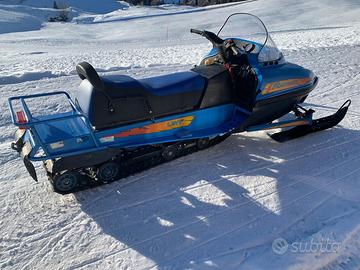 Motoslitta Linx Ranger 500