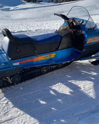 Motoslitta Linx Ranger 500