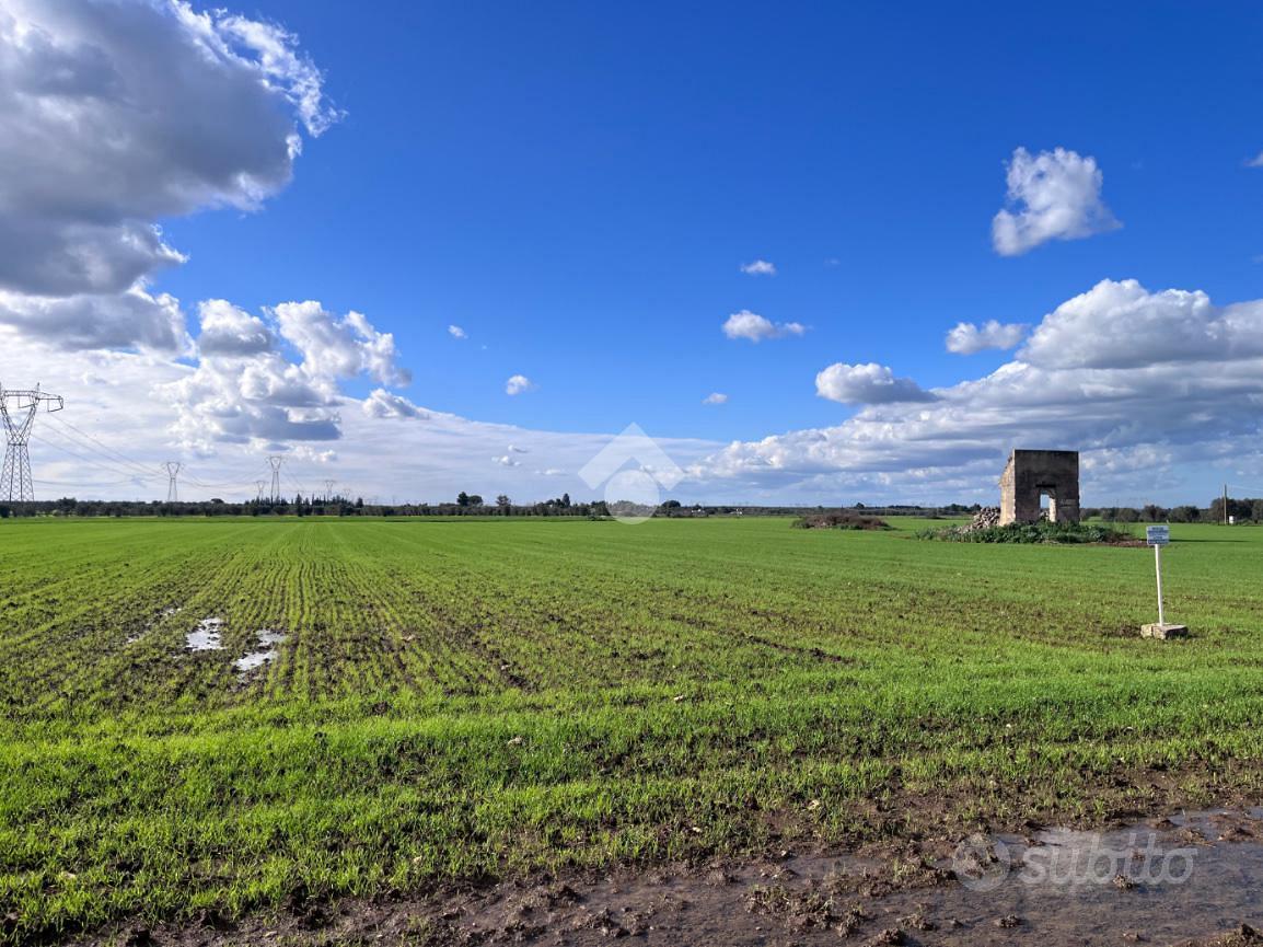 TER. AGRICOLO A MESAGNE - Vista 3