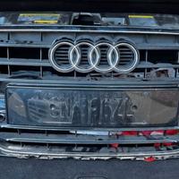 Griglia Audi A3 8v originale