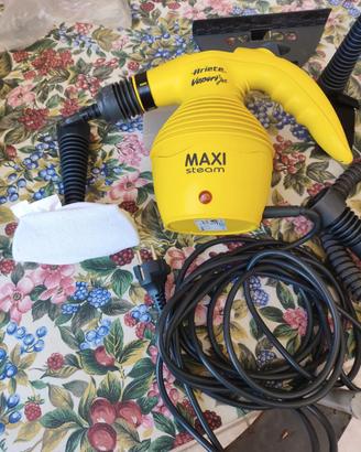 vaporetto  plus , marca ariete 