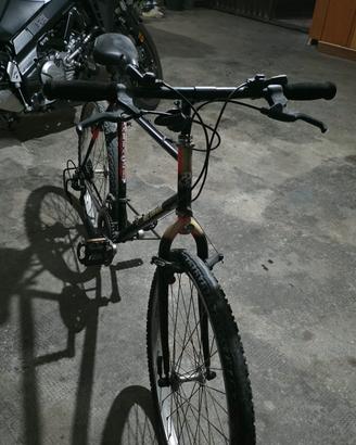 Bici Mountain bike 
