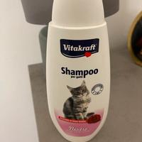 Shampoo x gatti