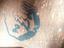 Immagine 4