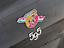 Immagine 16