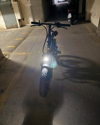 fat bike icone marine 250 watt