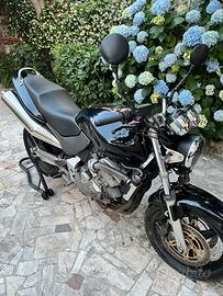 Honda Hornet 600