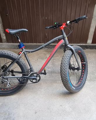 bicicletta