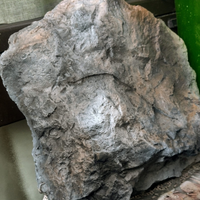 ROCCE di RESINA per Ciclidi AFRICANI