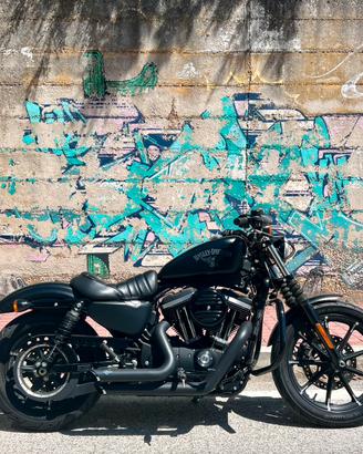 Harley-Davidson Sporster 883