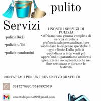 Pulizia Modena