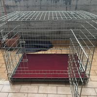 Gabbia pieghevole cani gatti conigli