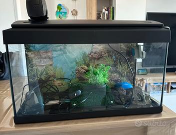 Acquario 60 litri