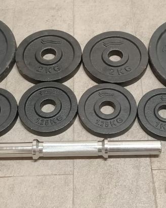 Manubrio Singolo con dischi da 1 a 10 kg
