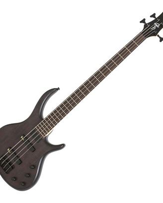 basso elettrico attivo Epiphone by Tobias Gibson