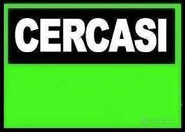 Gozzo o solo guscio 7.5 - 8 metri open