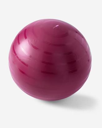 palla da gym 65 cm