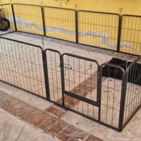 Recinto cani da esterno 