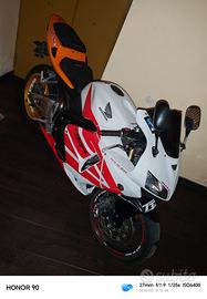 CBR 600 RR MOD 2005 2006 X VERI INTENDITORI