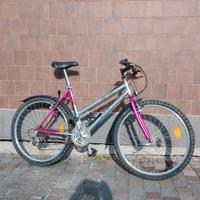 Bici da città Cortina 26” con cambio Shimano – pro